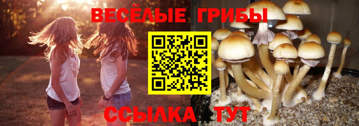 Галлюциногенные грибы GOLDEN TEACHER Кудымкар